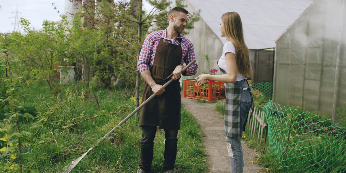 People talking on an allotment